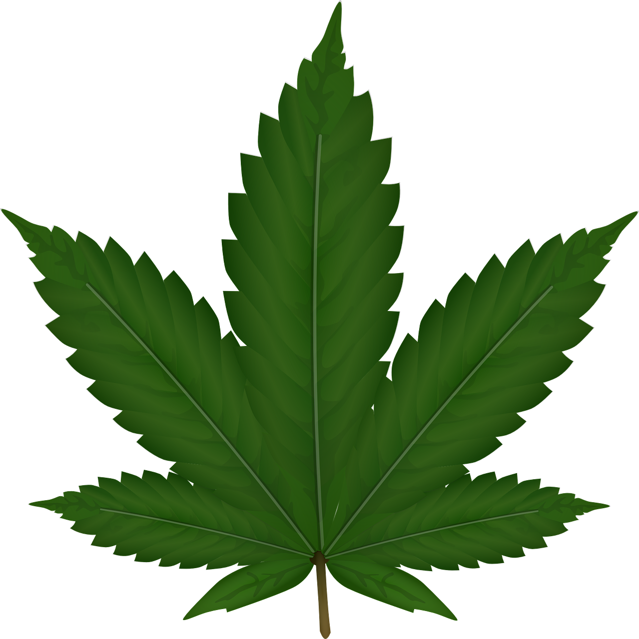 cannabis, hemp, leaf-306291.jpg